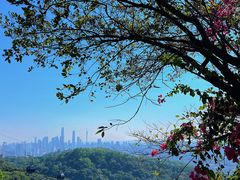 -广州市白云山风景名胜区