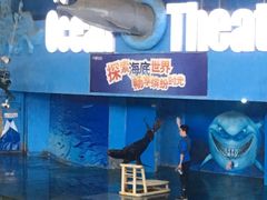 -苏州海洋馆