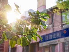-飞马旅黎黄陂路文旅街区