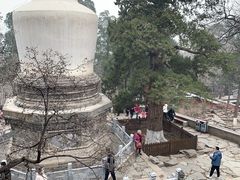 -大觉寺-停车场