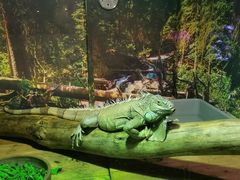 -多彩贵州城极地海洋世界