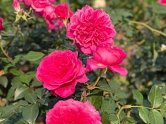 -人民公园(罗湖区)