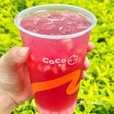 谢谢网友们CoCo这杯石榴冰你们一定要去44