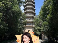-灵谷景区