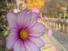 -黑龙潭风景区