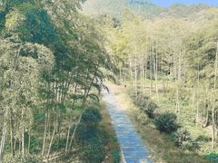 -大唐贡茶院