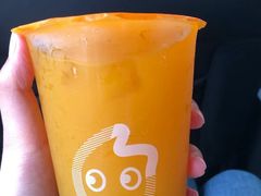 -CoCo都可(漫乐城店)