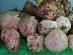 -山菌美食苑(振兴路店)