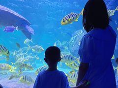 -左海海底世界