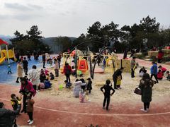 -铁山坪森林公园