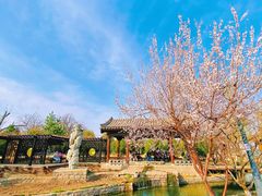 -三里河公园