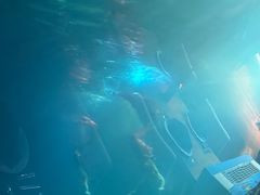 -海棠湾洲际-涛·海底餐厅·美人鱼·自助餐·海底隧道