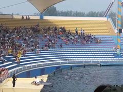 -秦皇岛乐岛海洋王国