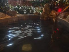 -广东温泉宾馆
