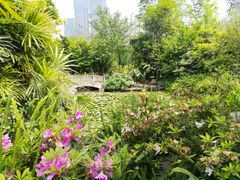 -龙头寺公园