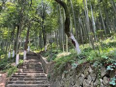 -莫干山风景区