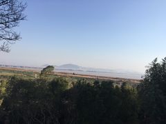 -蛇蟠岛
