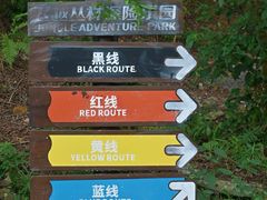 -芦仙山景区-飞越丛林探险乐园