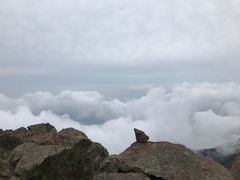 -白草畔自然风景区