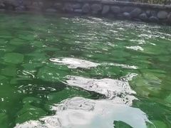 -杭州第一世界大酒店·云曼温泉