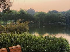 -东莞植物园