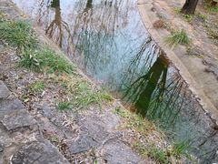 -沕沕水生态风景区