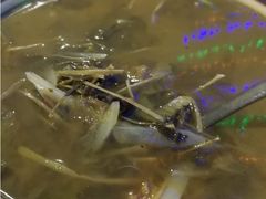 -宋记冕宁土菜馆(海门渔村二店)