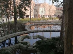 -活水公园