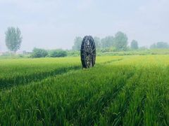 -林间山庄