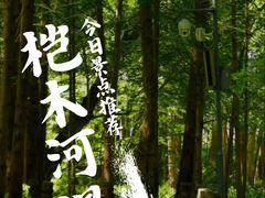 -桤木河湿地公园