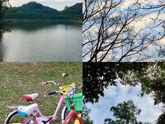 -番禺大夫山森林公园
