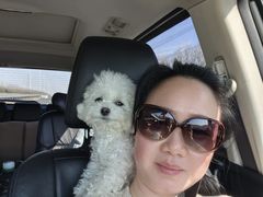 -苏州大学理想眼科医院