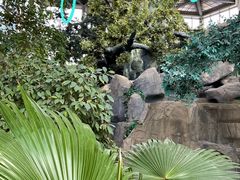 -鄂尔多斯野生动物园