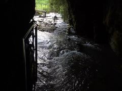 -怀托摩萤火虫洞