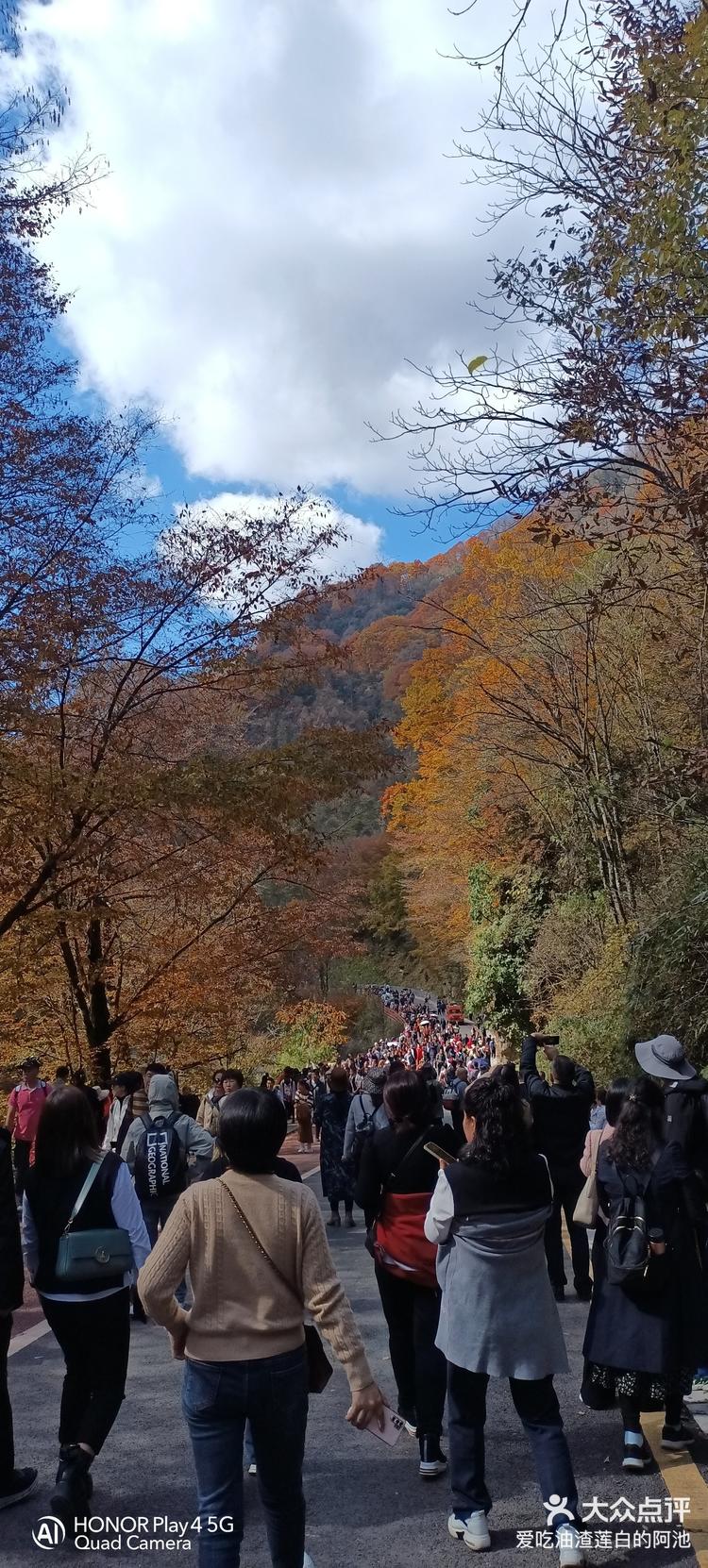 米仓山一日游图片