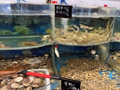 -鑫渔港海鲜本地菜·山海关浑锅(东戴河店)