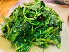 -郑件洋芋饭庄