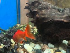 -极乐汇汗蒸会馆(杭州店)