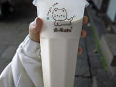 -猫的魔法密林(衣裳街店)