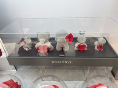 -ROSEONLY诺誓(广州K11店)