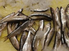 -健眺小海鲜(临海后山店)