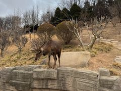 -若石足道SPA 连锁(丹东街店)