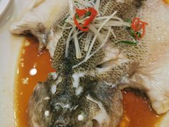 -紫光园·烤鸭·北京菜(劲松店)