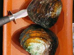 -十八字金·银饰·拼豆·开蚌DIY(魏公芳华里店)