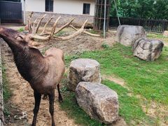 -上方山森林动物世界