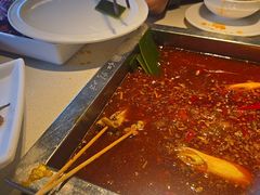 -红鼎坊·老成都火锅(新南门店)