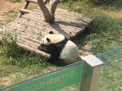 -大连森林动物园