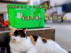 -刘信牛羊肉泡馍小炒(回民街店)