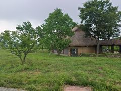 -良渚古城遗址公园