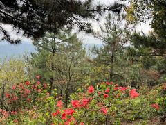 -东山风景区(洞庭东山)